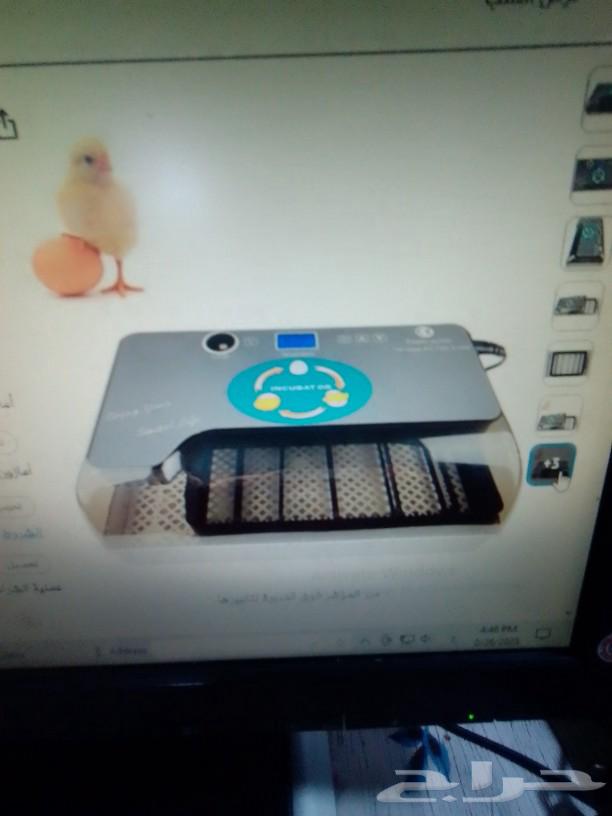 Egg incubator63211110462081112