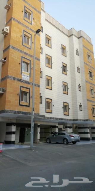 شقة للإيجار