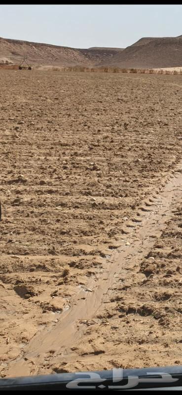 4-tower electric center pivot irrigation farm for rent63175048362627112