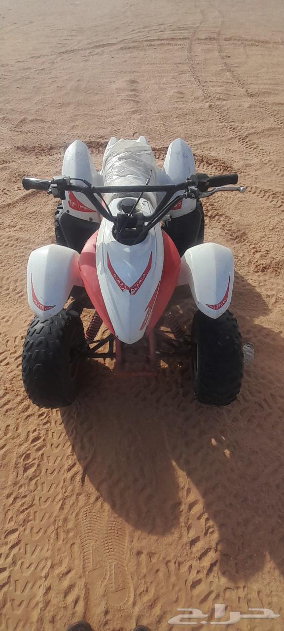 دباب وسيط مقاس 10063261886830977114
