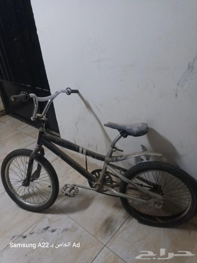 Hello, I have a Cobra cycle offer, the rear tire needs repair.63258161341953111