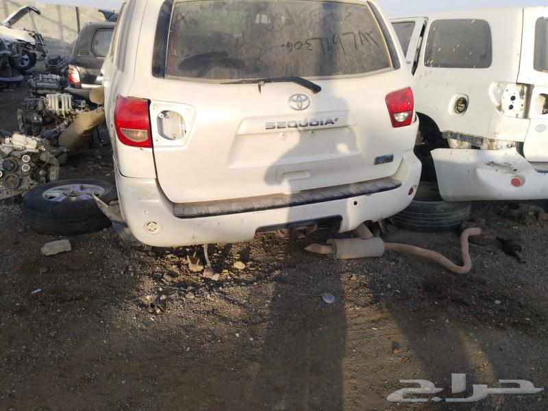 Abu Shamakh for buying all types of cars63261878544771110
