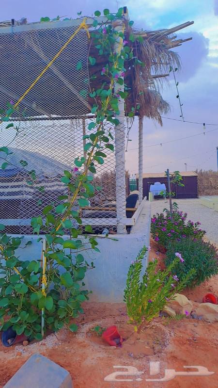A complete camp for sale63171525440899114