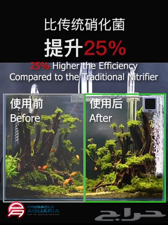 Beneficial bacteria capsules for fish tanks631715035164191113