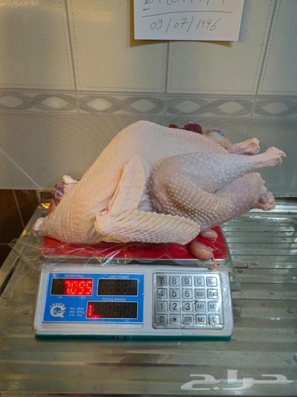 Freshly slaughtered turkey63171518434817112