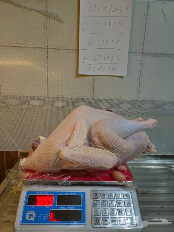Freshly slaughtered turkey63171518434817114