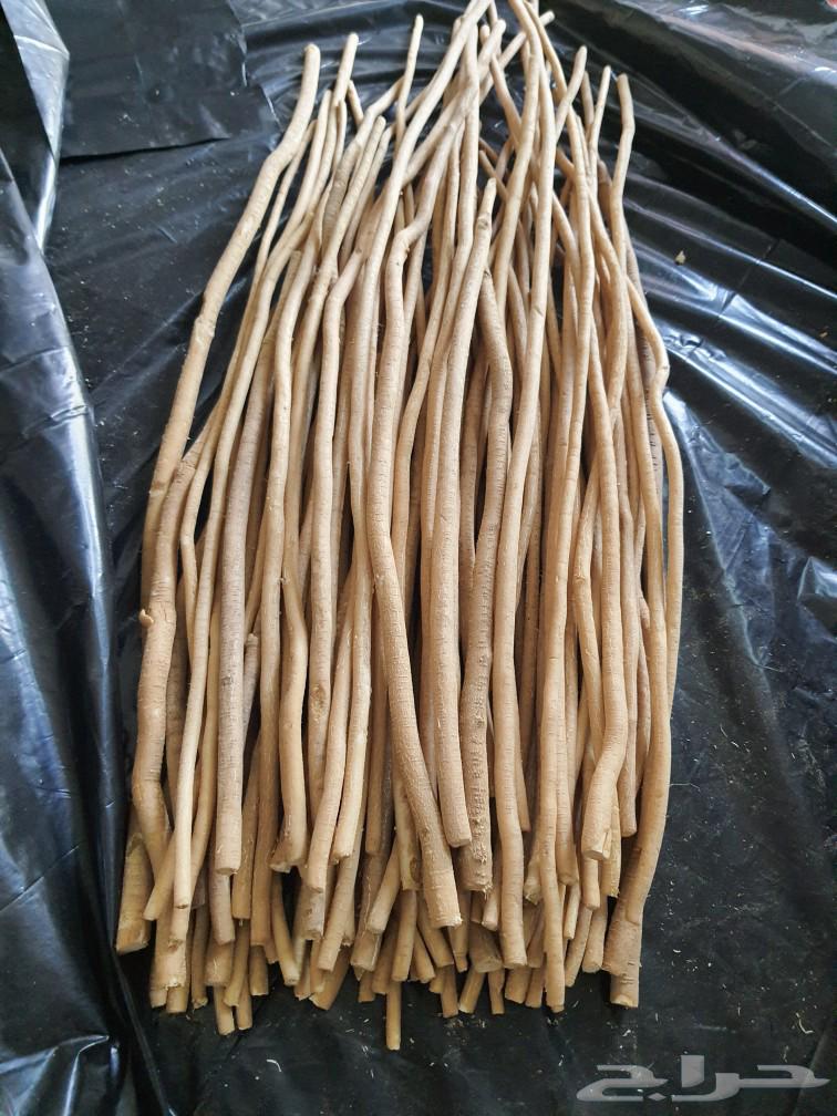 My country's miswak for simplicity at wholesale price.63170128159490113