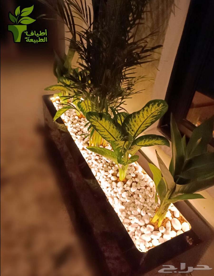 عرض لمرة واحدة وفر 300 ريال احواض الفايبر63165901026306114