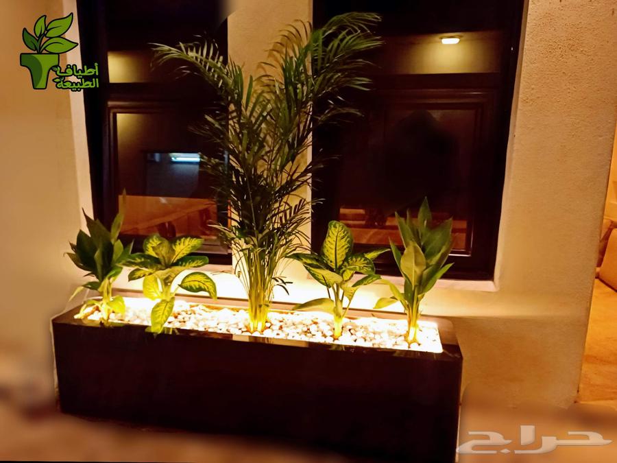 عرض لمرة واحدة وفر 300 ريال احواض الفايبر63165901026306112