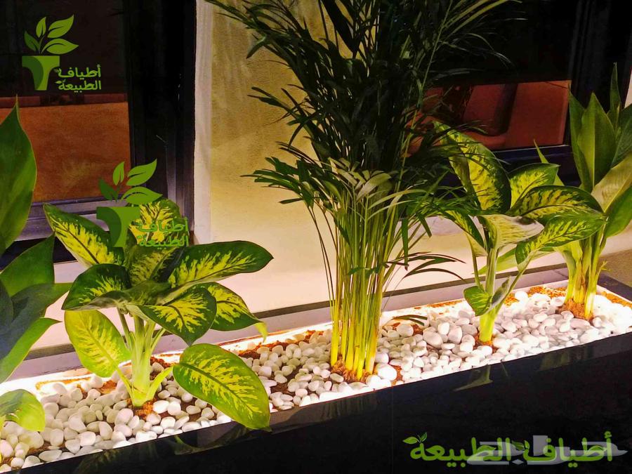 عرض لمرة واحدة وفر 300 ريال احواض الفايبر63165901026306111