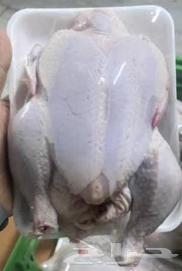 Broiler chicken63165911798019112