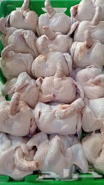 Broiler chicken631659117980191129