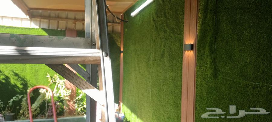 Artificial and natural grass63025328942083112