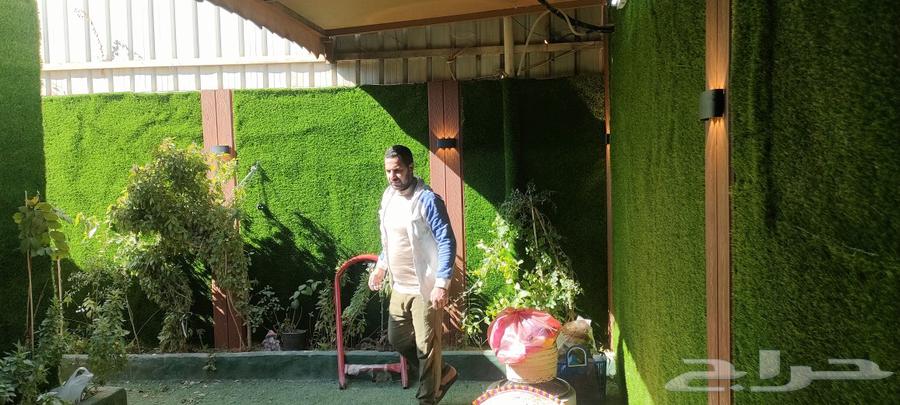 Artificial and natural grass63025328942083111