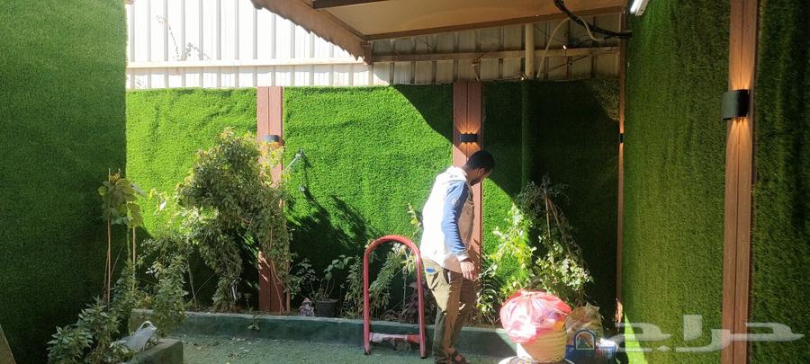 Artificial and natural grass63025328942083114