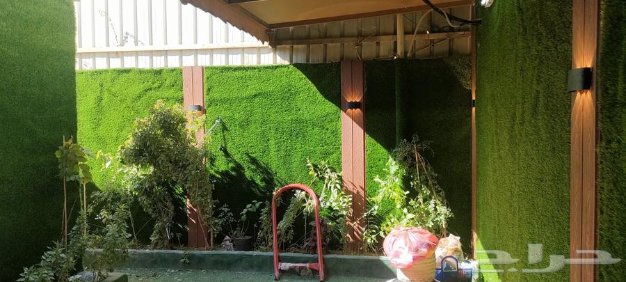 Artificial and natural grass630253289420831114