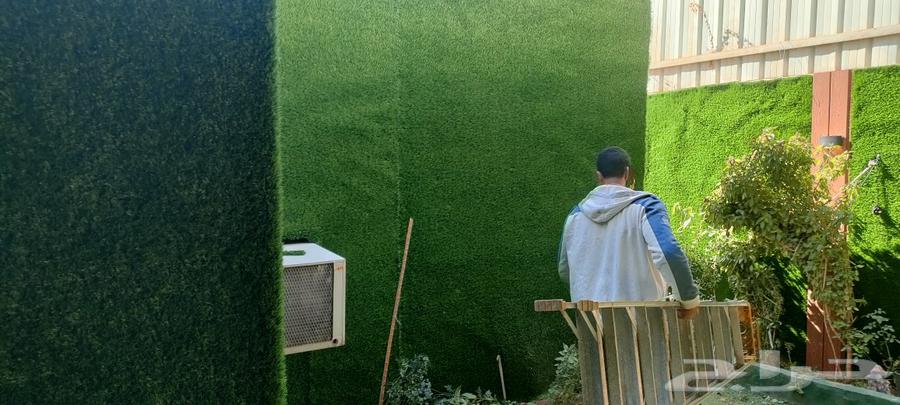 Artificial and natural grass63025328942083113