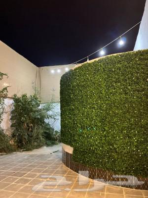 جديدنا وسط الأسبوع 2000 ريال اكاسيا للمناسبات الصغيره63015212122499113