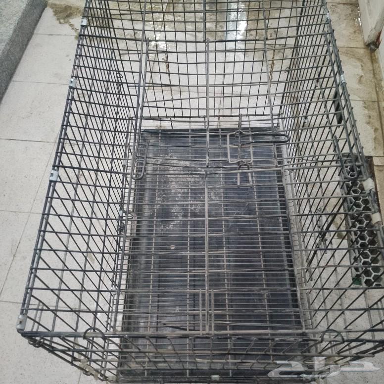 البيع قفص قطط63009737000322111