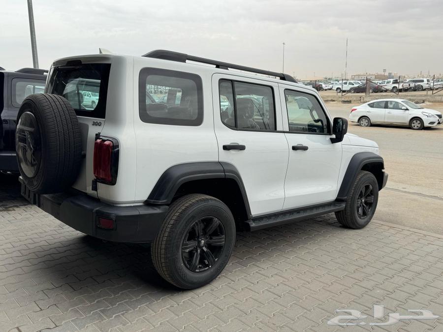 جريت وول تانك 300 فل كامل م 2025 اسعار خاصه للكاش كل الألوان63141678091650113
