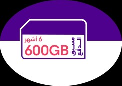 STC Data Package - 600 GB for 6 Months63092621677826110