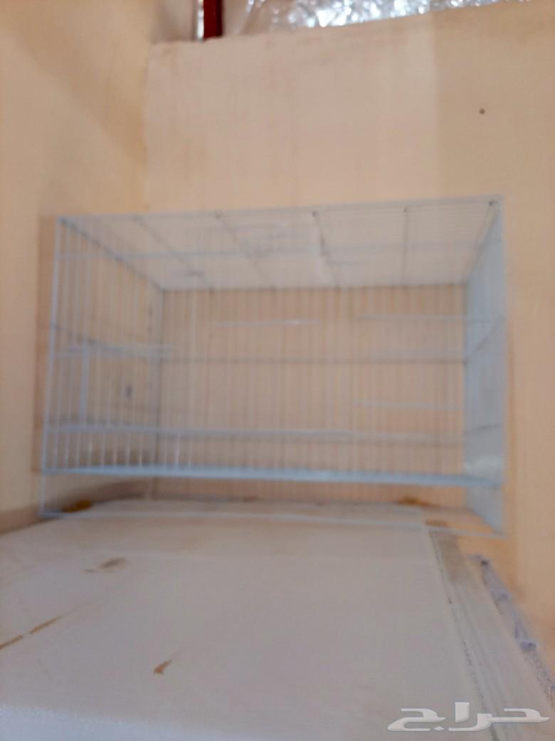 Cages63093337302275115