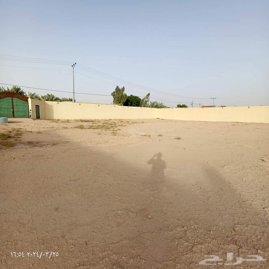 حوش بالعفجه الخرج للايجار62931691512961113