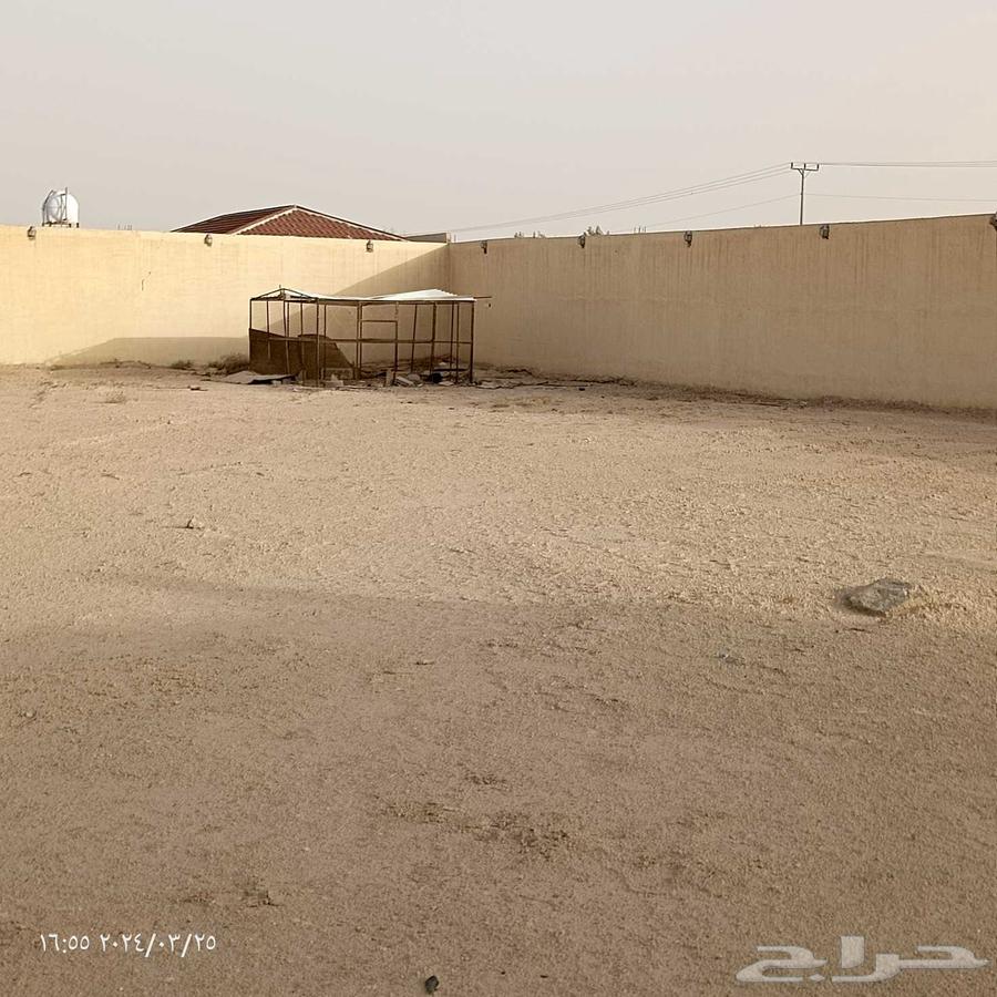 حوش بالعفجه الخرج للايجار62931691512961112