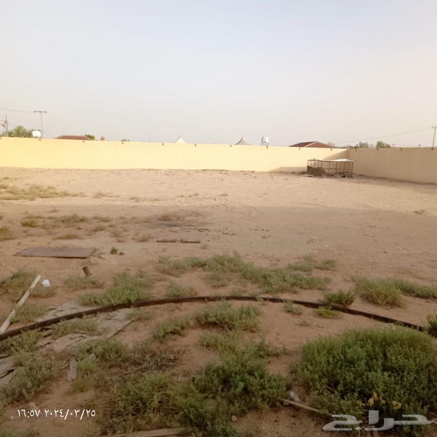 حوش بالعفجه الخرج للايجار62931691512961111
