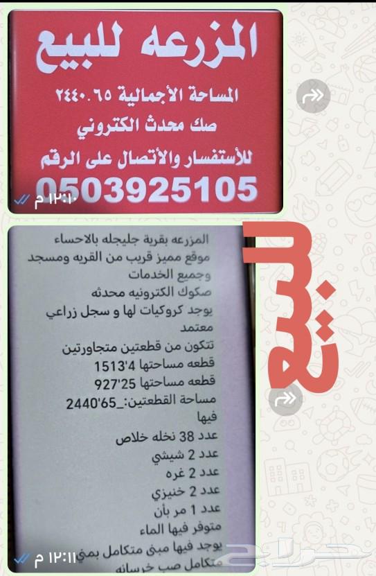 Farm for sale in Al-Ahsa63090726400643119