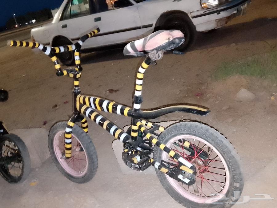 16-inch bike63087573347331113