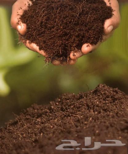 Coconut soil for reptiles and agriculture63088755671298118