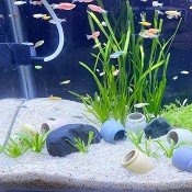 3 kilos of sand for fish tanks and water basins63084715486978111