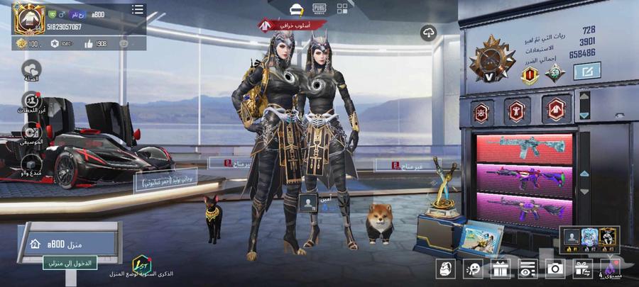 PUBG account for sale630887964439071112