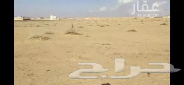 For sale: residential land in Al-Qawarah opposite the mosque according to the plan630147507907861124