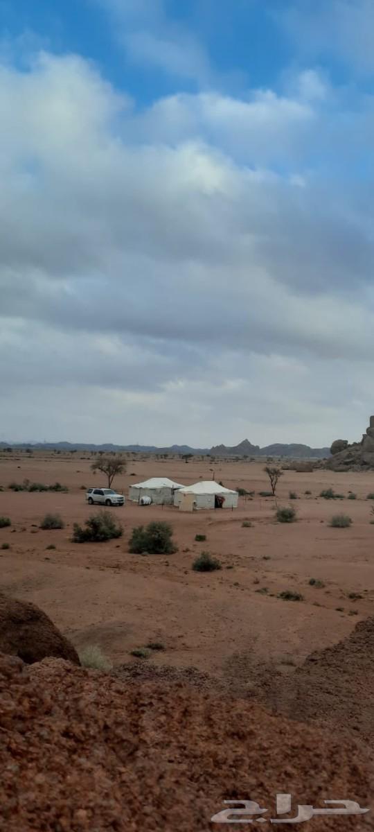 Two tents for sale size 6 4 with camera and solar lighting63085973770243111