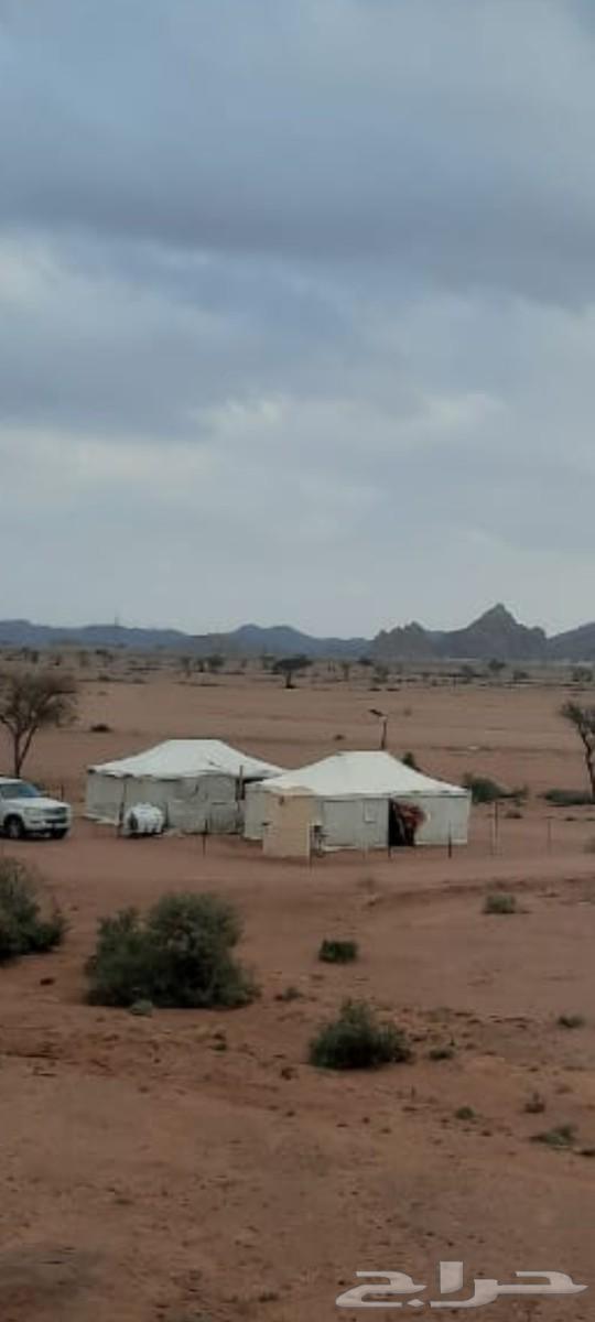 Two tents for sale size 6 4 with camera and solar lighting63085973770243110