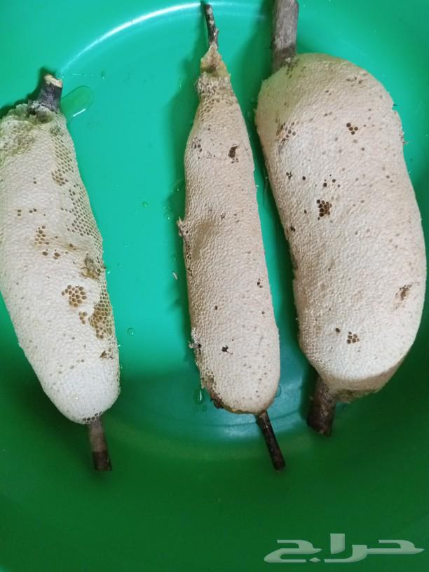 Natural bee honey, flowers without feeding, reasonable prices. Contact via WhatsApp or At63085973814273110