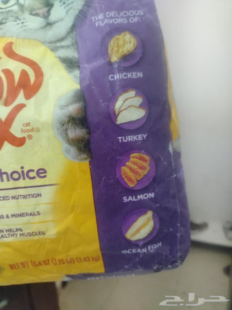 Cat food63085556557953112