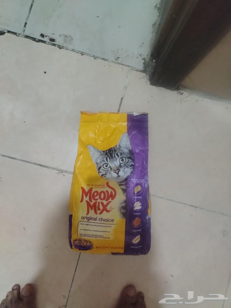Cat food63085556557953112