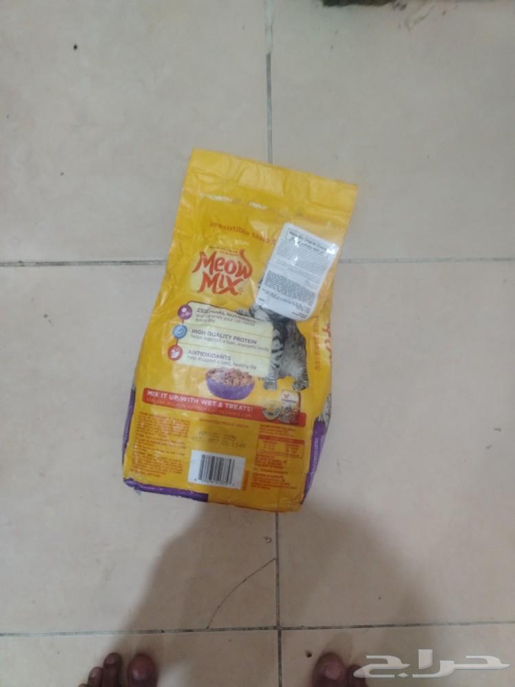 Cat food63085556557953111