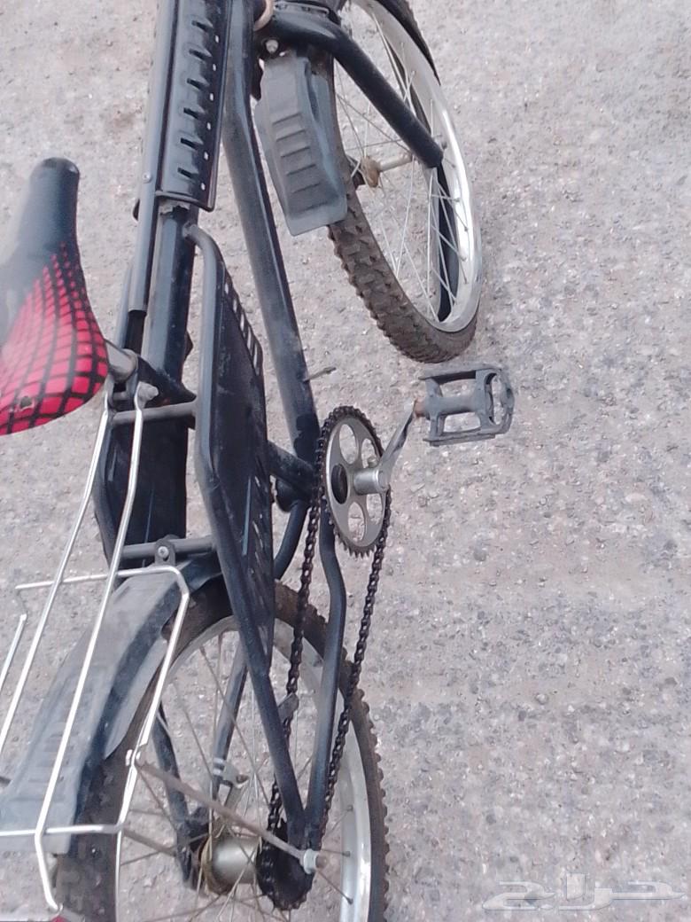 Bicycle for sale63085586249859112