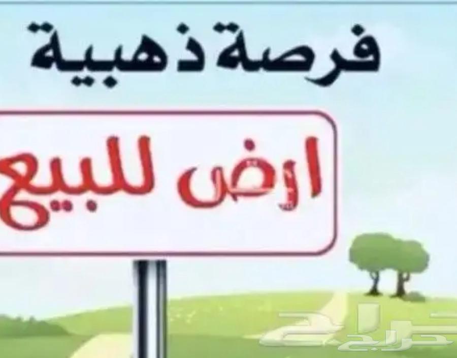 Land for sale in Jadra district63014278537985119