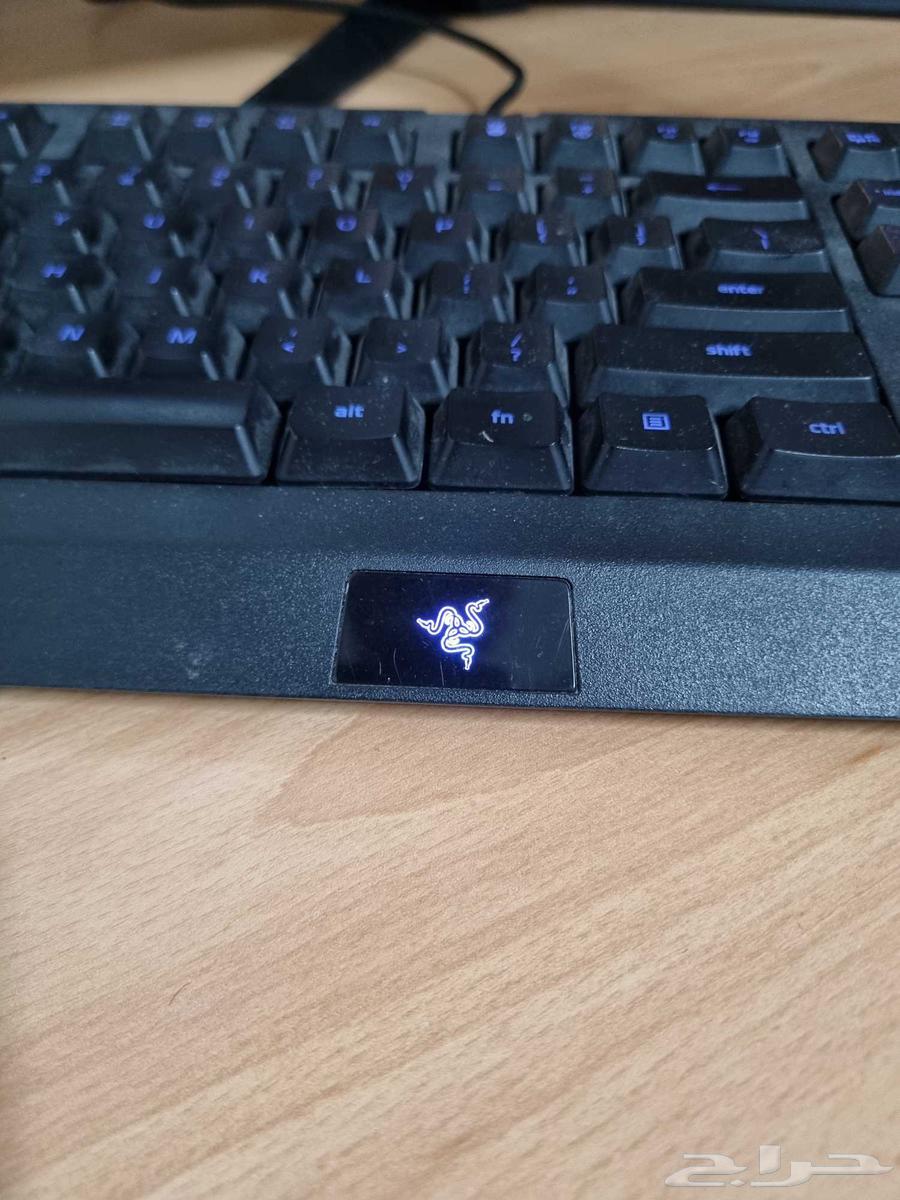 Razer Cynosa Lite keyboard63081445732737112