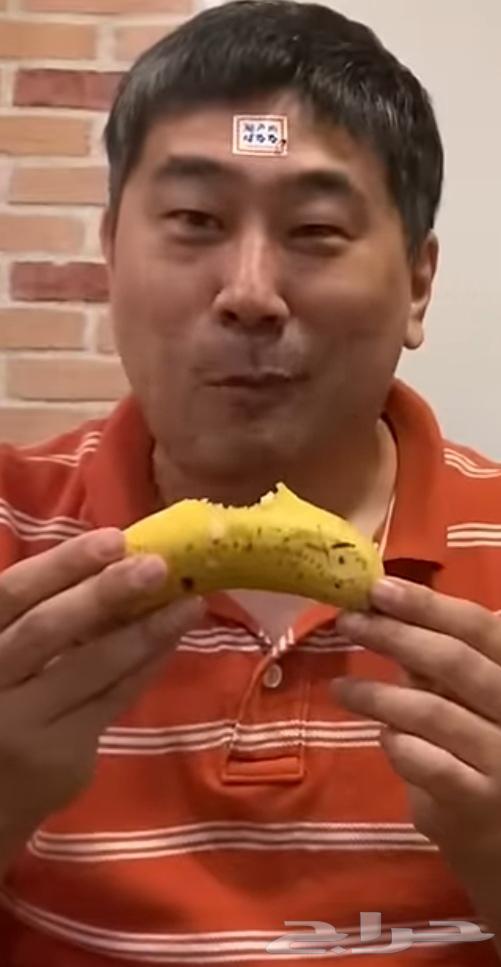 ![](https://m.media-amazon.com/images/I/71sKZr5pqyL._AC_UF1000,1000_QL80_.jpg)  
Japanese banana plant (Mongee dwarf shape), produced in Morocco or large basins63083894425602112