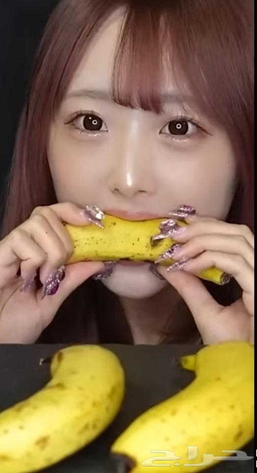 ![](https://m.media-amazon.com/images/I/71sKZr5pqyL._AC_UF1000,1000_QL80_.jpg)  
Japanese banana plant (Mongee dwarf shape), produced in Morocco or large basins63083894425602113