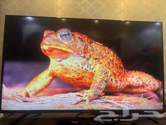 للبيع السريع شاشة هايسنس fhd عادي ب600ريال 50 بوصة مع stc63083909601409113