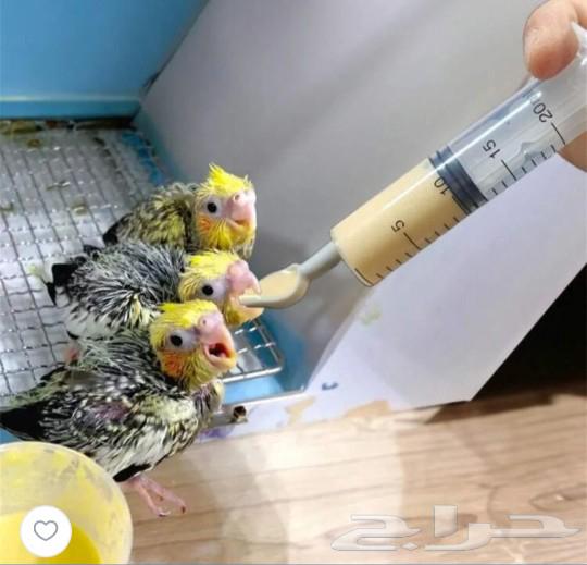 10 ml syringe spoon63083909784578110
