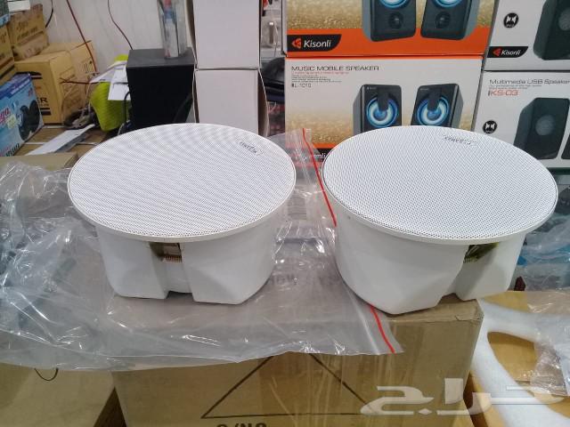 Ceiling and wall-mounted speaker with Bose sound_system63082288825091114