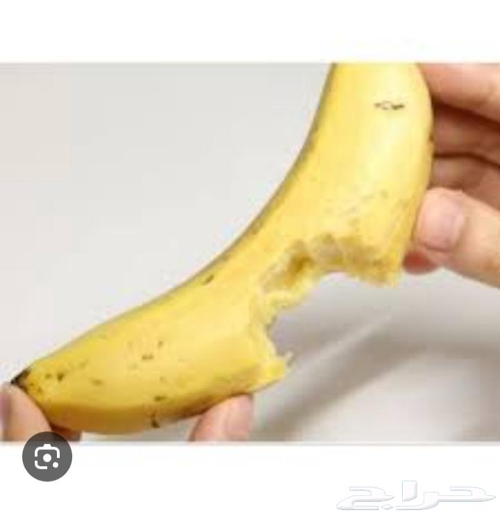 ![](https://m.media-amazon.com/images/I/71sKZr5pqyL._AC_UF1000,1000_QL80_.jpg)  
Japanese banana plant (Mongee dwarf shape), produced in Morocco or large basins63083894425602111